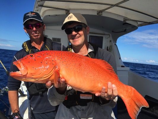 Rob and Damien Robeck from Hooked on 1770 Charters illustrate that XL Coral Trout are plentiful...once you know how