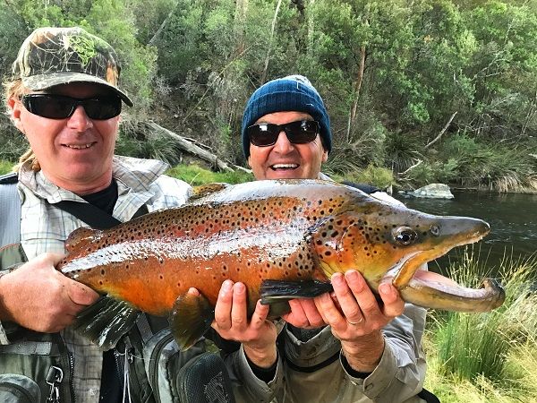 Rob Paxevanos and David Dick with an almost mythical trout over the 20 pound mark. It took 40 years to trout of this calibre...and they caught even bigger!