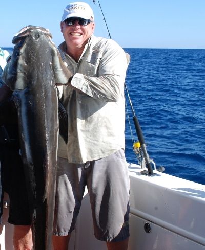 Bundaberg Fishing Legend Rob Wood promises Rob a Cobia like this from a one in a thousand day that also saw Wahoo, Mahi Mahi, various reef fish, and even a Marlin