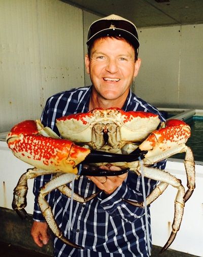 King Crabs are the biggest in the world, this ones a massive 4 kilos, and they grow at least twice this big