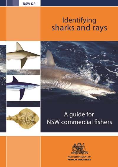 Shark Survey: Commercial fishers are being asked their opinion on the NSW shark and rays identification guide