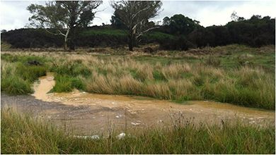 Sediment Pollution running into Spring and Major Creek, tributaries of the Deua River on the South Coast of NSW
