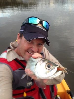 Tarpon are brilliant sportsfish, they can leap 5 feet clear of the water
