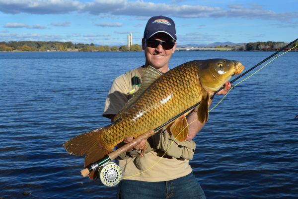 Carp caught on Fly Canberra