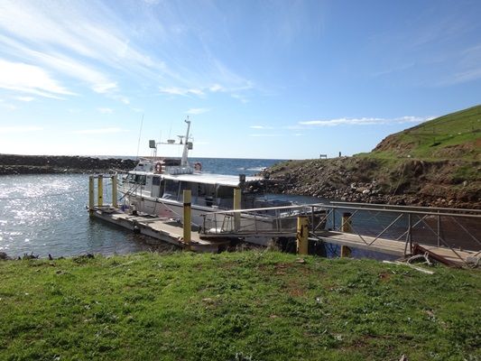 Kangaroo Island Fishing Adventures have their own purpose built harbour placed just a short steam from some of the best fishing locations on the island