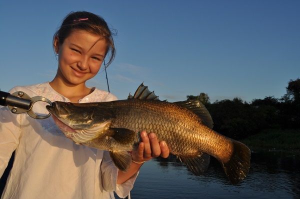 It’s common to catch dozens of barra, this one was my daughter Caitlin's first