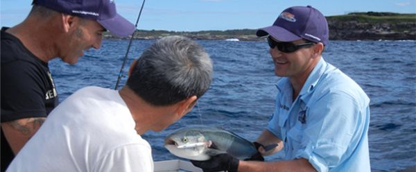 Fishing with The Wiggles - 2011