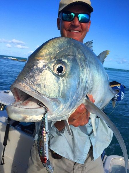 Giant Trevally and Queenfish in insane numbers
