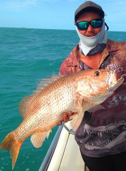 XL Golden Snapper are brutal fighters and magnificent table fish