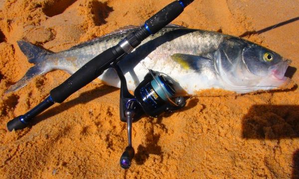 The latest Fishing Australia FAT 702 SPL rod reel and line outfits are great for spinning up salmon