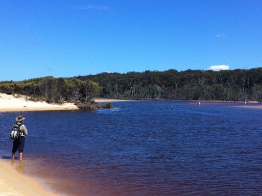 Durras Lake looking brown and fish free