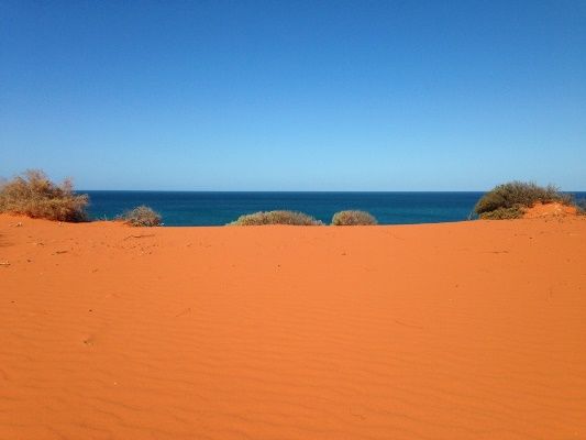Shark Bay is where the red dessert meets the sea and the fishing is beyond compare