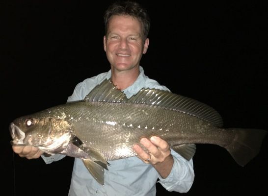 Jewfish are the target and the first one comes knocking on que in the wee hours of the morning
