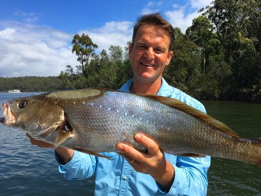 The episode includes Rob's latest new tips on NSW jewfish to complement material in DVD#1 and #2 available here at fishingaustralia.tv/shop