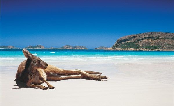 Lucky Bay at Esperance officially has the whitest sand in Australia