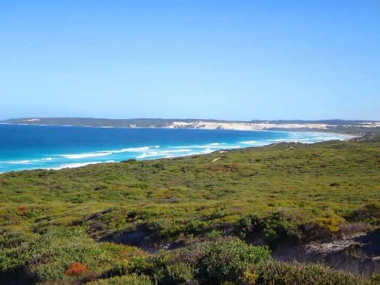 The white sand and lack of major rivers in the region means the clear water straight from Antarctica turns brilliant blue on a sunny day