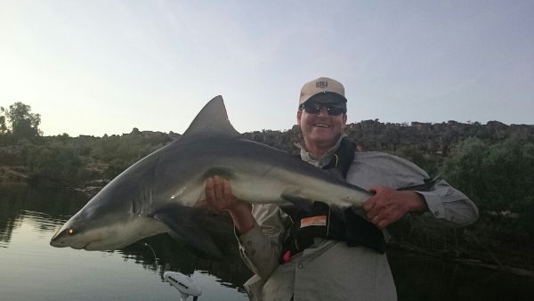 Along with Crocs, bull sharks can push a long way upstream into the rivers of the top end...and are a real challenge on barra tackle