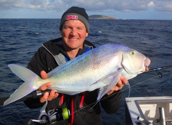 Queen snapper are not only great fighting and wonderfully colored, they are one of the best easting fish from the Great Southern Ocean
