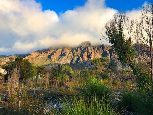 The rugged and ever changing beauty of Tasmania Remote South West complemented the amazing fishing