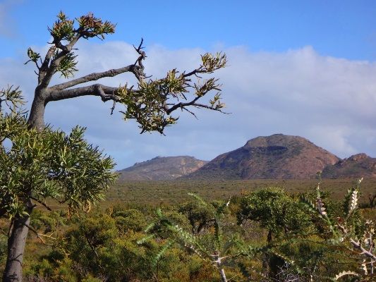 Cape Le Grande National Park is another must see