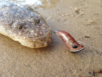 The back waters of the Pumistone Passage are loaded with Flathead