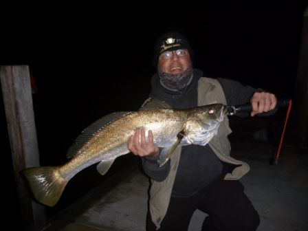 Sergeant Whiteys Urban Mulloway Adventures