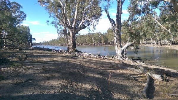 The inlet creek where the carp screen was installed