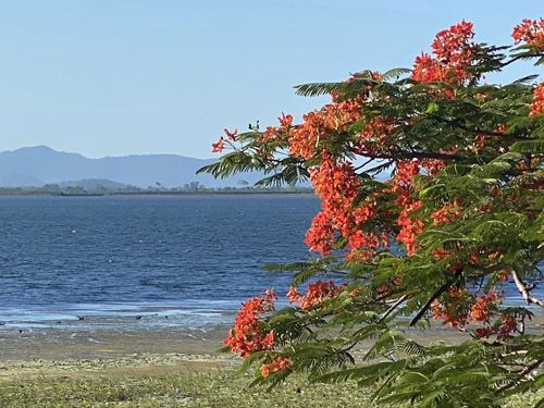 Kinchant Shoreline