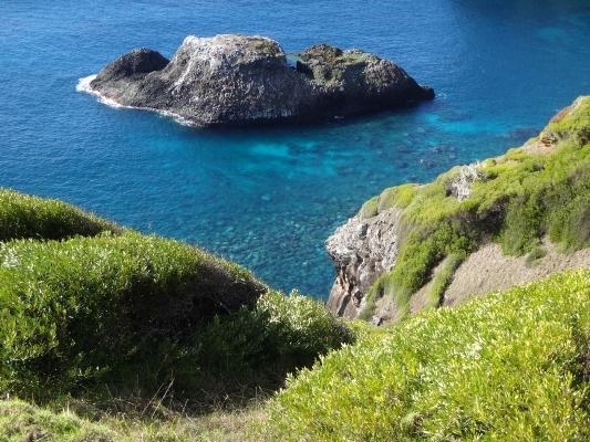 The view from Captain Cooks Lookout