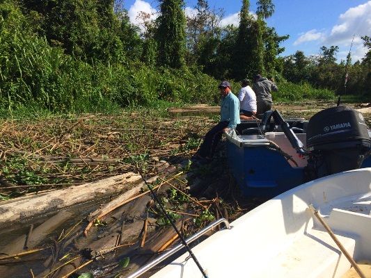 In part 2 Rob and team pull out all stops to find the ferocious black bass...including negotiating log jams to get to unexplored waters