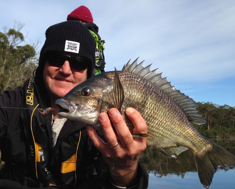 ...and we hit a big black bream bonanza .