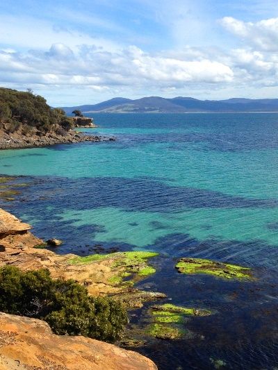 Fishing Australia also visited stunning Maria Island