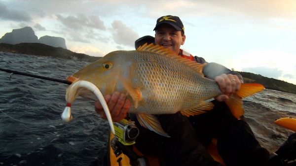 Rob With Spangled Emperor