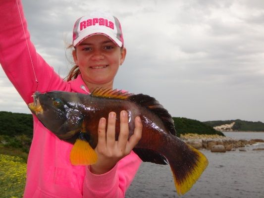 Emily with a wonderful blue throat wrasse, a fish that was once underrated on the plate is now getting the recognition it deserves