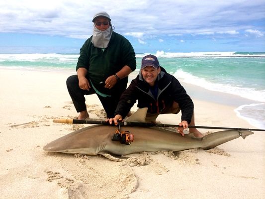 Bronze Whaler Caught of Yalata Beach