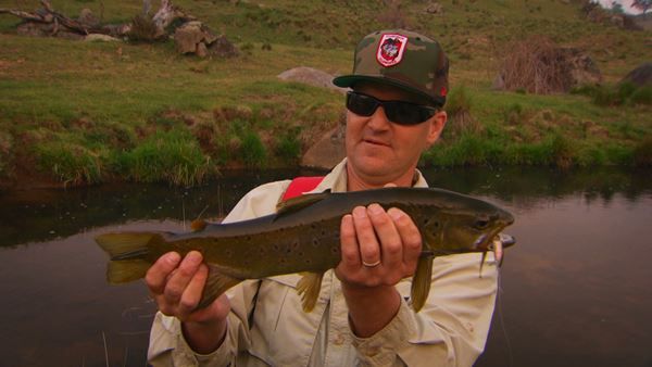 Trout Fishing the Central Tablelands - 2014