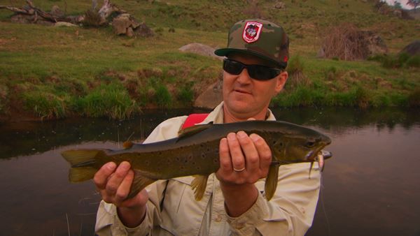 Brown Trout caught Oberon