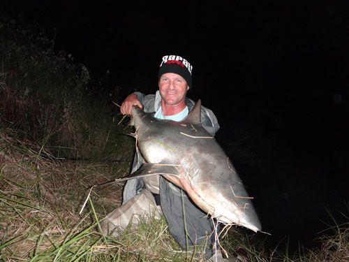 A frightening encounter with a freshwater Bull Shark