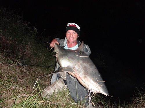 Bull Shark Encounter