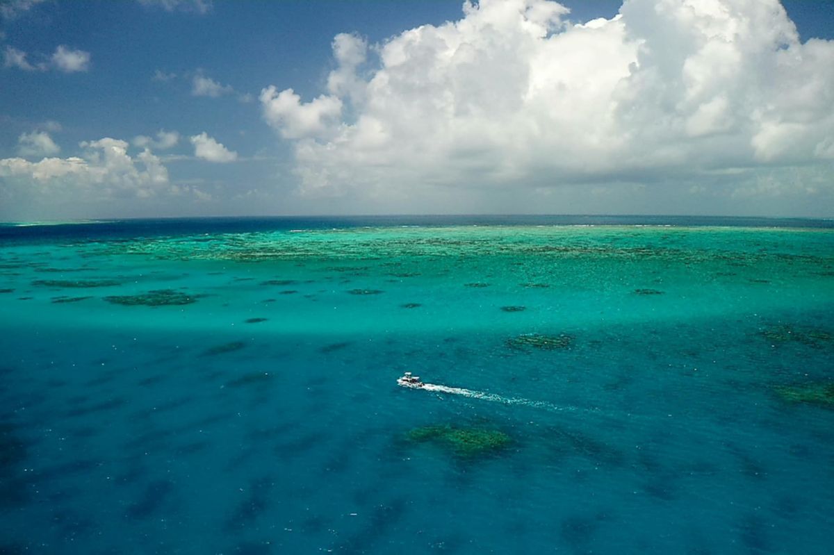 Nothing beats the Great Barrier Reef