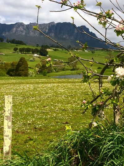 Cradle Mountain Scenic