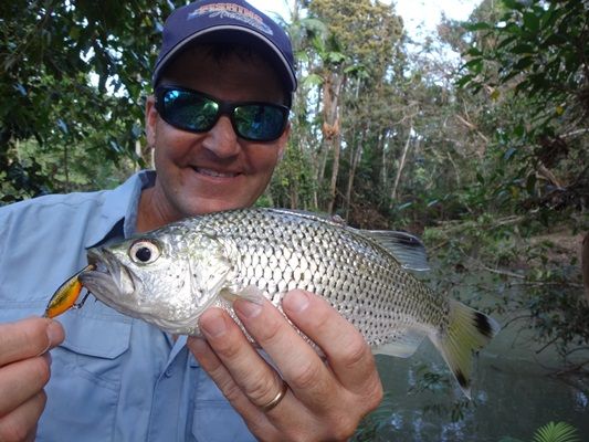 An elusive catch…the jungle perch