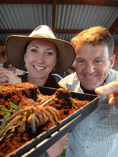 Raptor Domain’s Karla Pound shows Rob one of the ‘friendly’ spiders