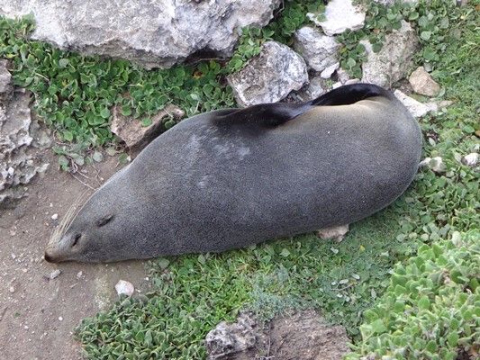 Even the locals don’t mind the occasional sleep in between fresh seafood smorgasbords