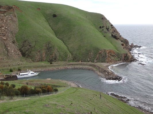 Kangaroo Island Fishing Adventures