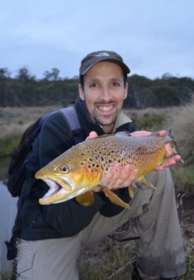 Best Graz 50cm big brown trout Rapala