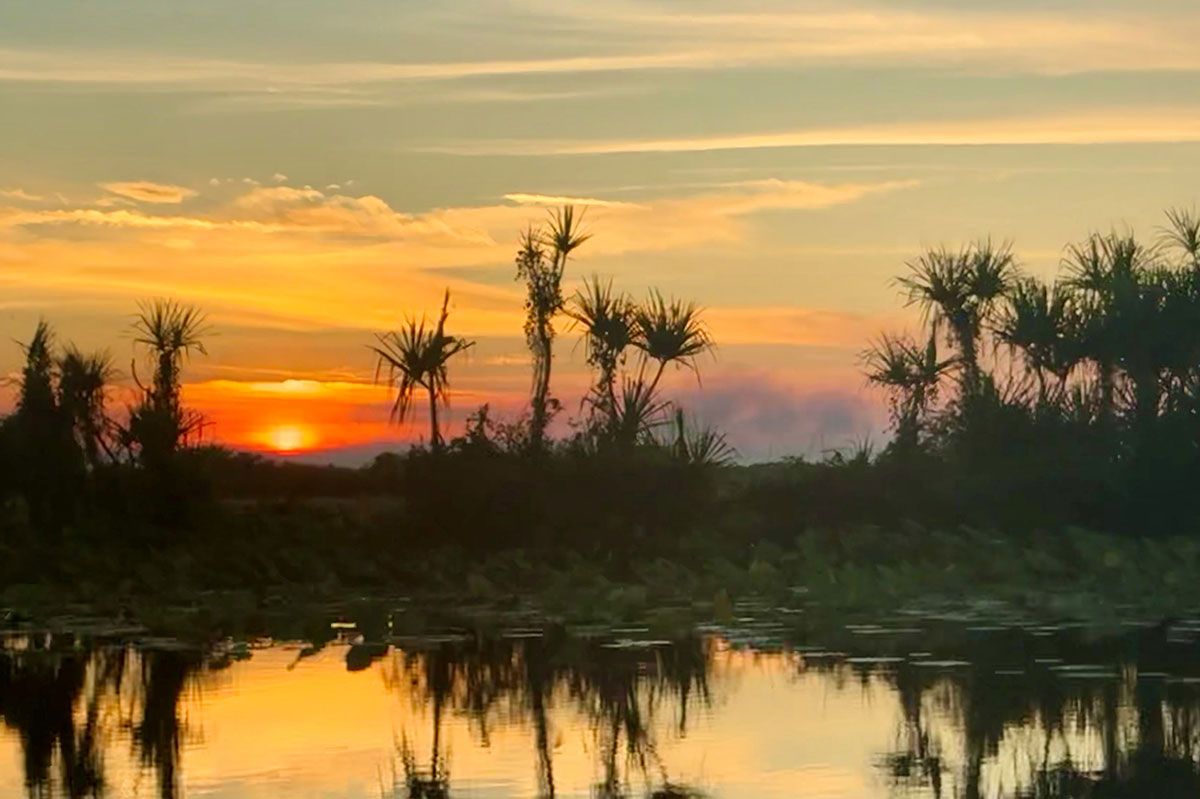 Corroboree billabong