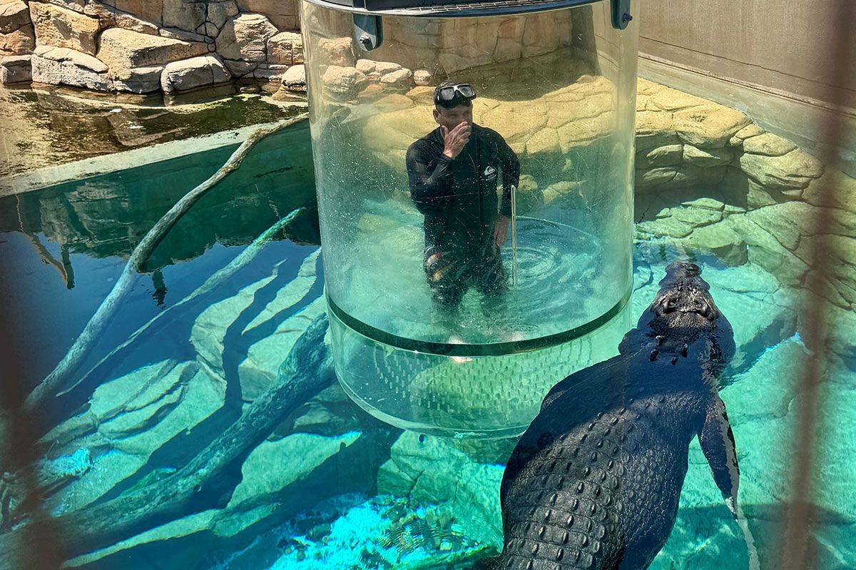 I feel like the Bait