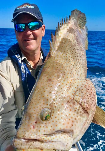 The Fishing on the Southern Great Barrier Reef is extraordinarily good.