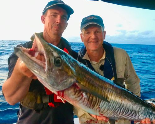 Spanish Mackeral were on cue.